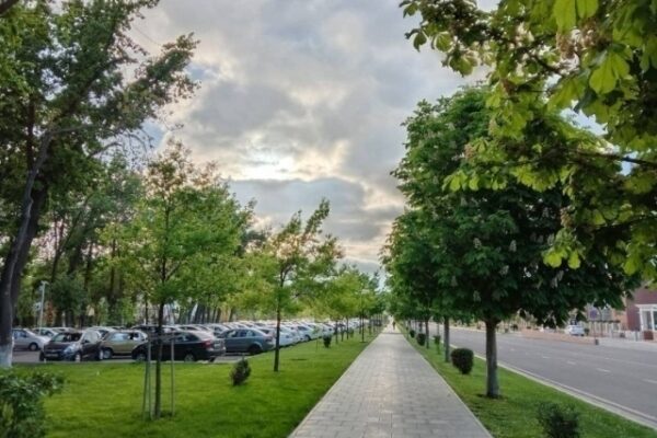 O‘zbekistonda yozning ilk haftasi qanday ob-havo bo‘lishi ma’lum qilindi