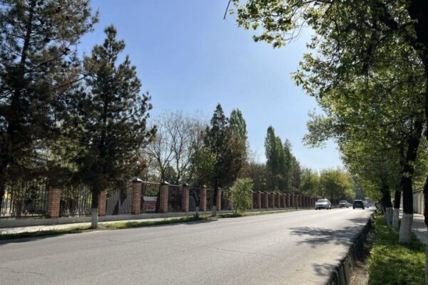 O‘zbekistonda dam olish kunlari yoz uchun nisbatan qulay ob-havo bo‘ladi