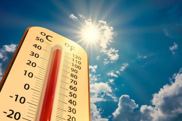 O‘zbekistonda hafta boshida 44 darajagacha issiq bo‘ladi