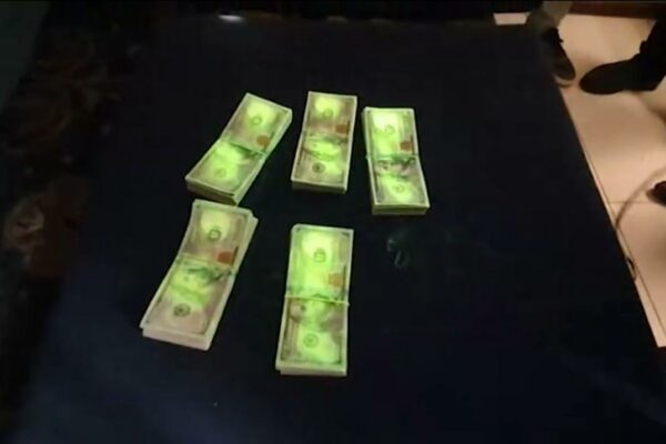 Toshkent viloyatida 4 gektar yerni 300 ming dollarga sotmoqchi bo‘lgan shaxslar ushlandi