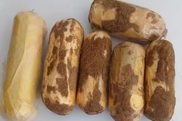 Qoraqalpog‘istonda fuqaroning yonidan 250 grammdan ortiq opiy topildi