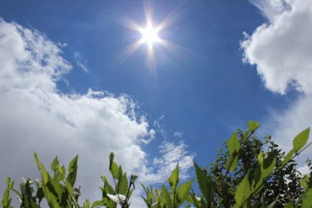 Photo 2025 07 10 15 01 10