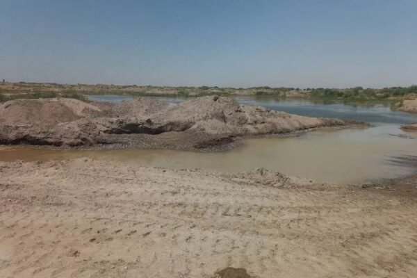 Bekobodda ikki fuqaro tabiatga qariyb 17 mlrd so‘m zarar yetkazdi