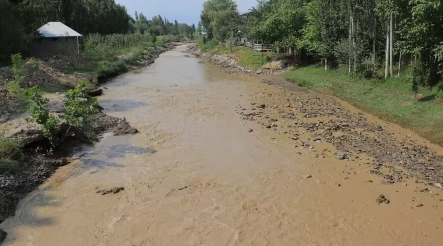 Photo 2025 07 30 09 33 15