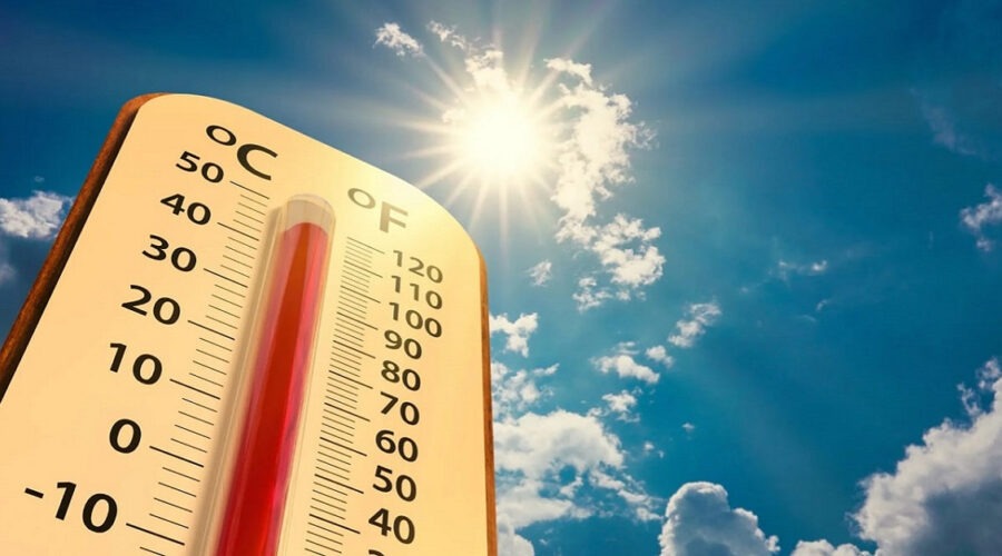 62d31fc8602c9 62d31fc8602cb 62d31fc8602cc 62d31fc8602cd