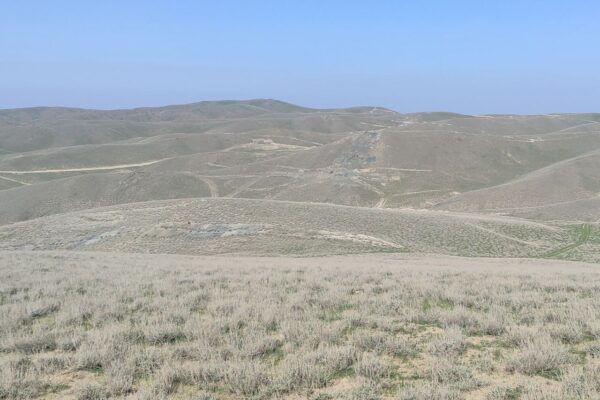 Navoiydagi «Temirchi» oltin koni 5,4 mln dollarga sotildi