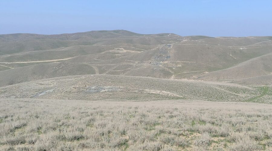 6qsoh3gh boxrdbhpeipscudn bdojwi