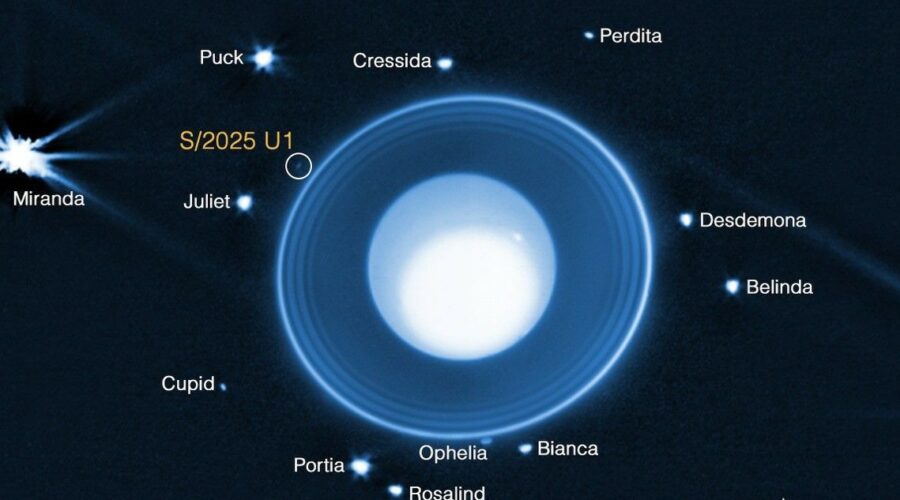 D4feyur84g2b2roxofq79b0ooa9287j4