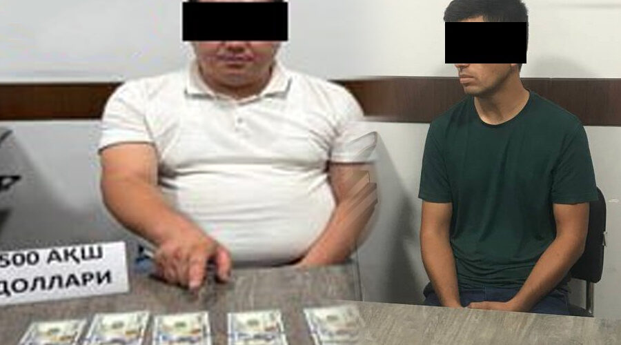 Ztz6lx08aq1 zmubbovrq9nn 0d83nm