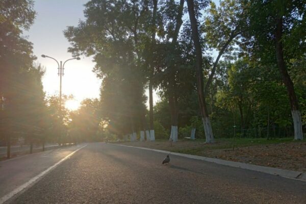 O‘zbekistonda 27-avgust kuni necha daraja issiq bo‘lishi ma’lum qilindi