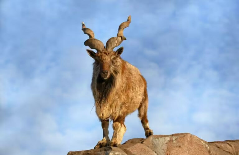 Photo 2025 08 01 10 20 27