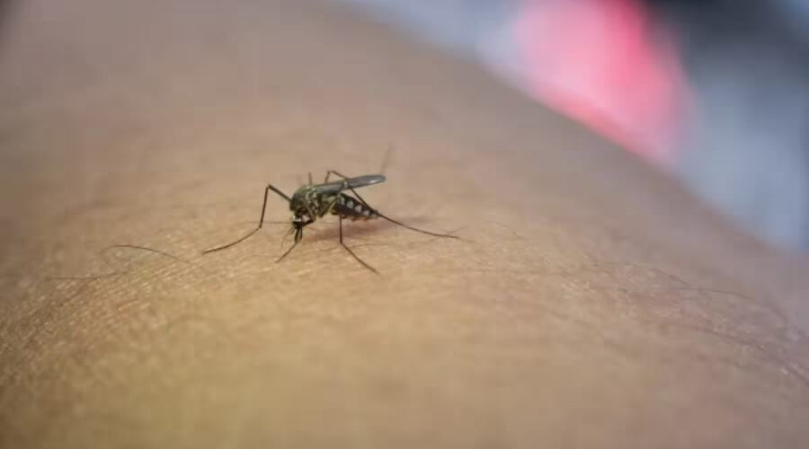 Photo 2025 08 06 10 46 10