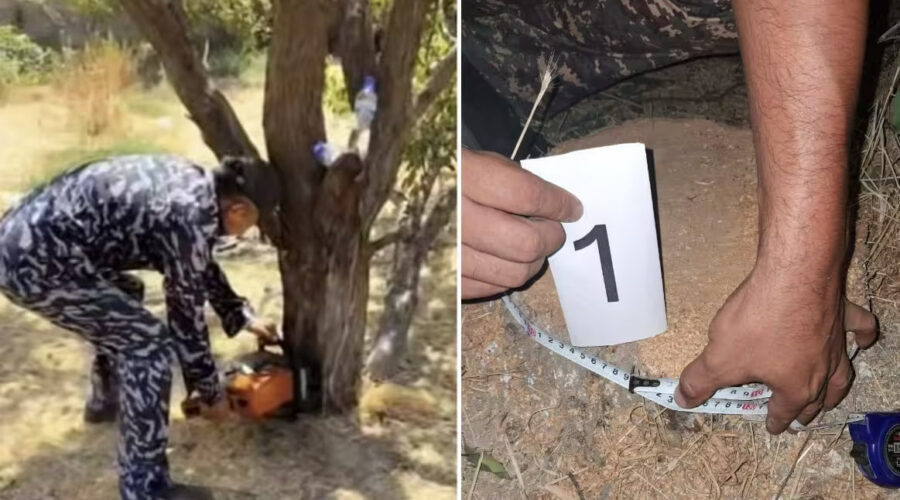 Photo 2025 08 13 17 36 08