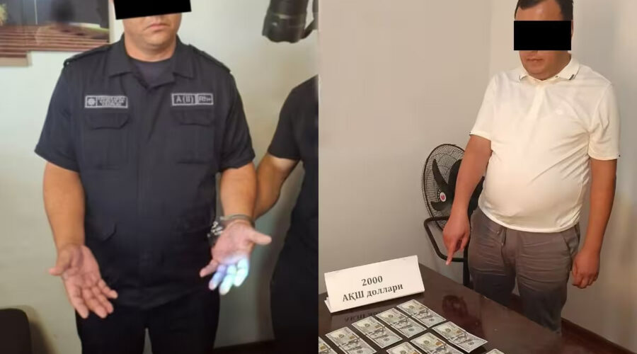 Photo 2025 08 15 10 03 11