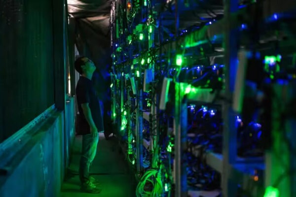 Qoraqalpog‘istonda mayning uchun maxsus zona tashkil etilishi kutilmoqda