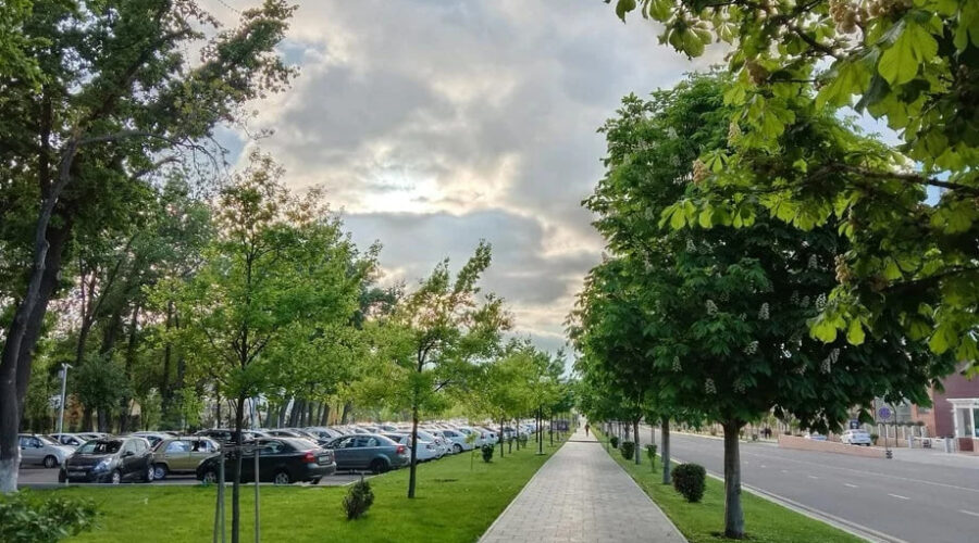 Photo 2025 08 19 12 31 52