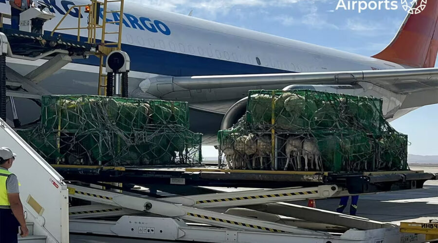 Photo 2025 08 19 14 08 59