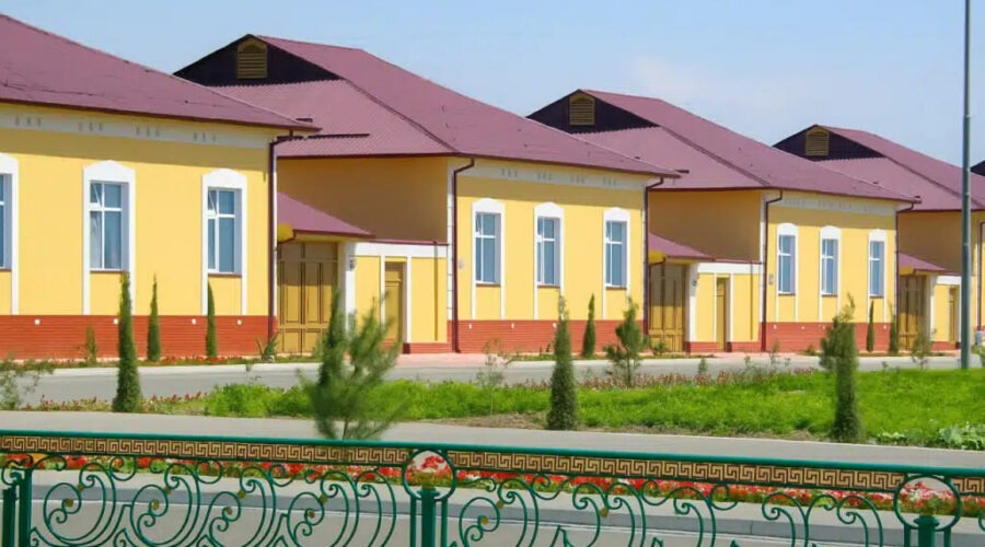 Photo 2025 08 20 13 23 06