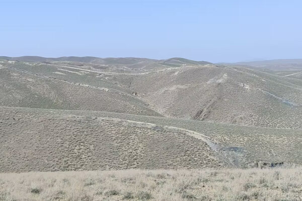 Navoiyda bir haftada uchta oltin koni sotib yuborildi