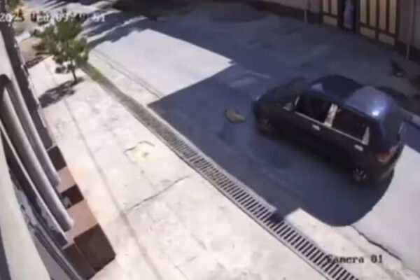 Yangiyo‘lda itni Matiz’da bosib o‘tgan haydovchi jazolandi