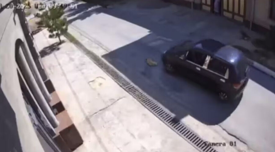 Photo 2025 08 22 12 40 26