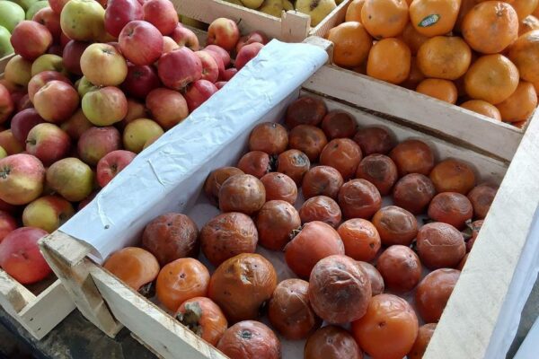 O‘zbekistonda 130 tonnadan ortiq yaroqsiz mahsulotlar savdodan olib tashlandi