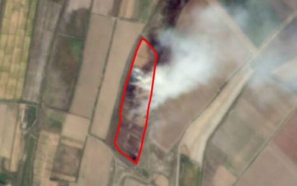 Sholidan bo‘shagan yerlarni noqonuniy yoqish sabab 500 gektar maydon zararlandi