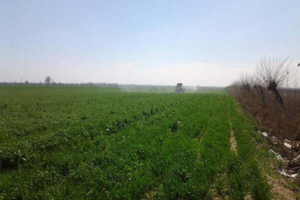 Qishloq xo‘jaligiga mo‘ljallangan yer uchastkalariga ijara huquqini kredit ta’minoti sifatida garovga qo‘yish tartibi belgilandi