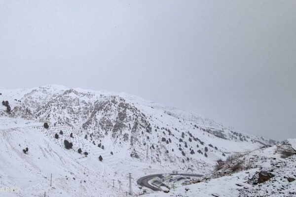 Qamchiq dovonida kuchli qor va ko‘chki xavfi sabab harakat vaqtincha to‘xtatildi