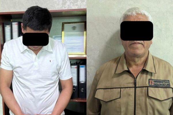 Andijonda davlat mulki, elektr va yer bilan bog‘liq korrupsion holatlar fosh etildi